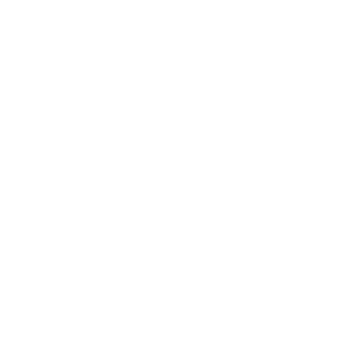 On-Site and Remote Support